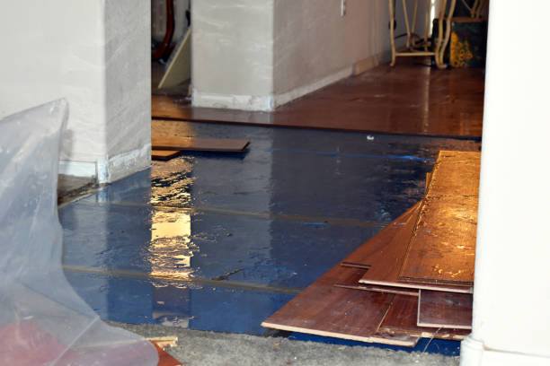 Professional Basement Flood Cleanup technician working in Hart, MI
